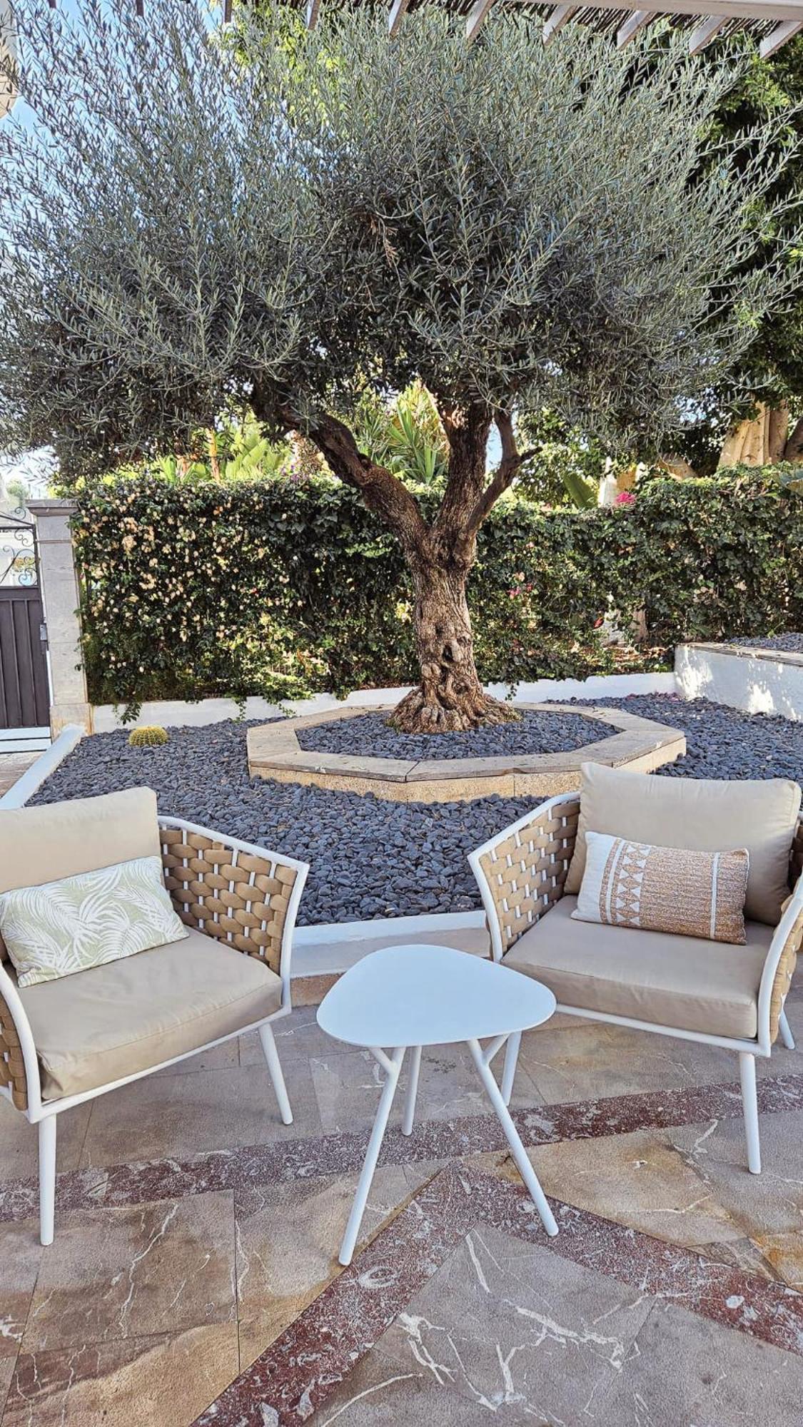 Cala D´Or Sentido Fido Tucan - Adults Only מראה חיצוני תמונה